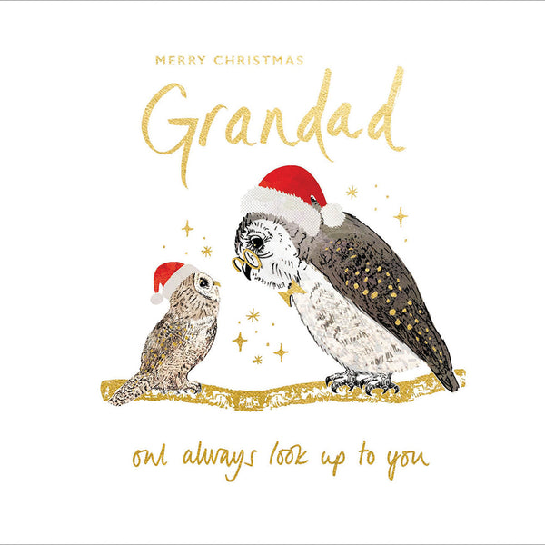Woodmansterne - Wise Owl Grandad Card