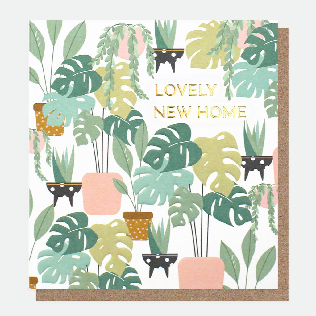 Caroline Gardner - New Home Plants