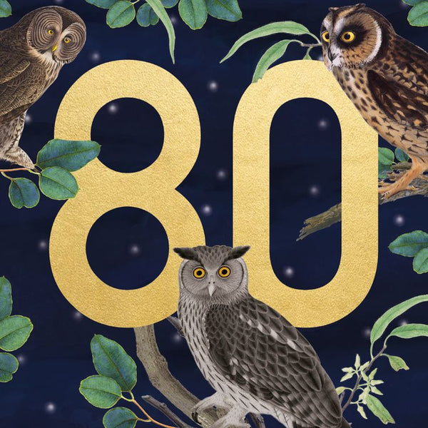 Museums and Galleries - 80th Owls