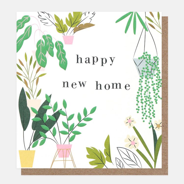 Caroline Gardner - New Home Pot Plants