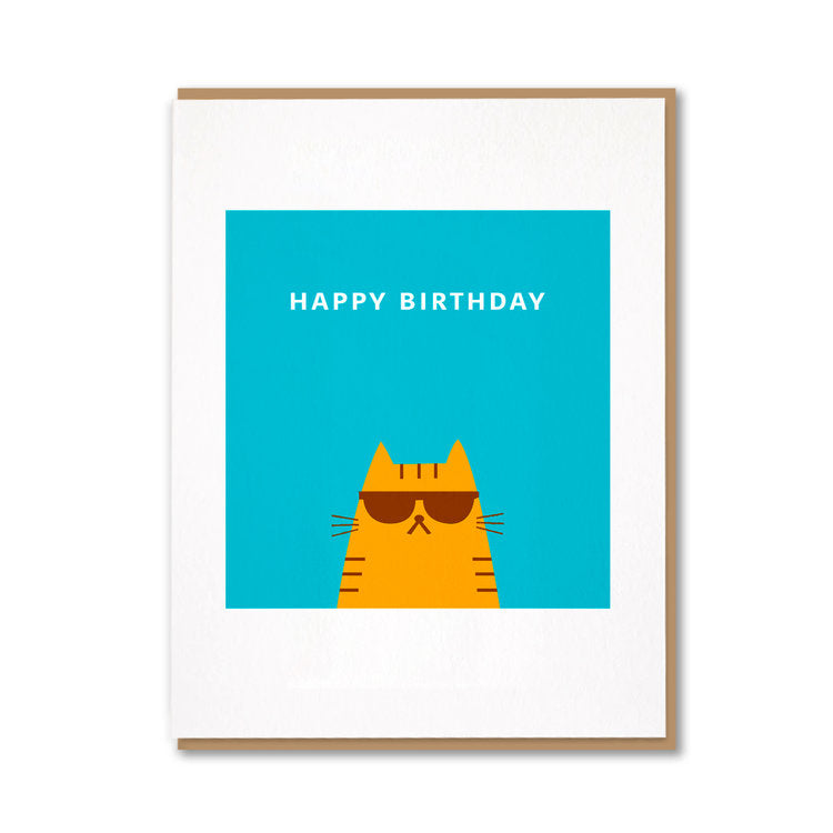 1973 - Cool Cat Birthday– Postmark