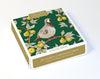 Museums And Galleries - Winter Birds X20