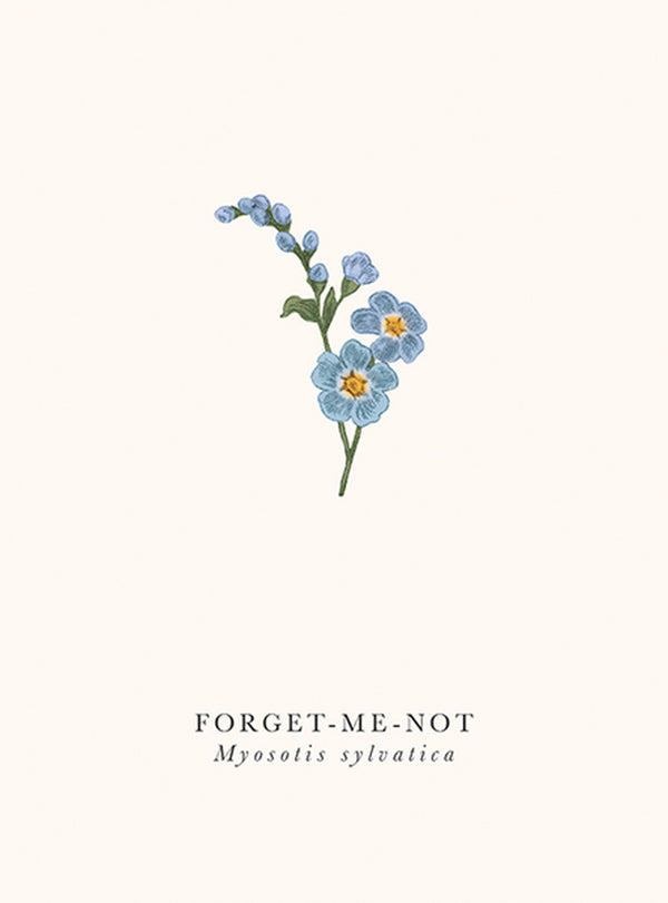 Art File - Forget Me Not