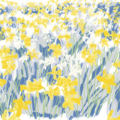 Jenny Frean - Daffodil Field