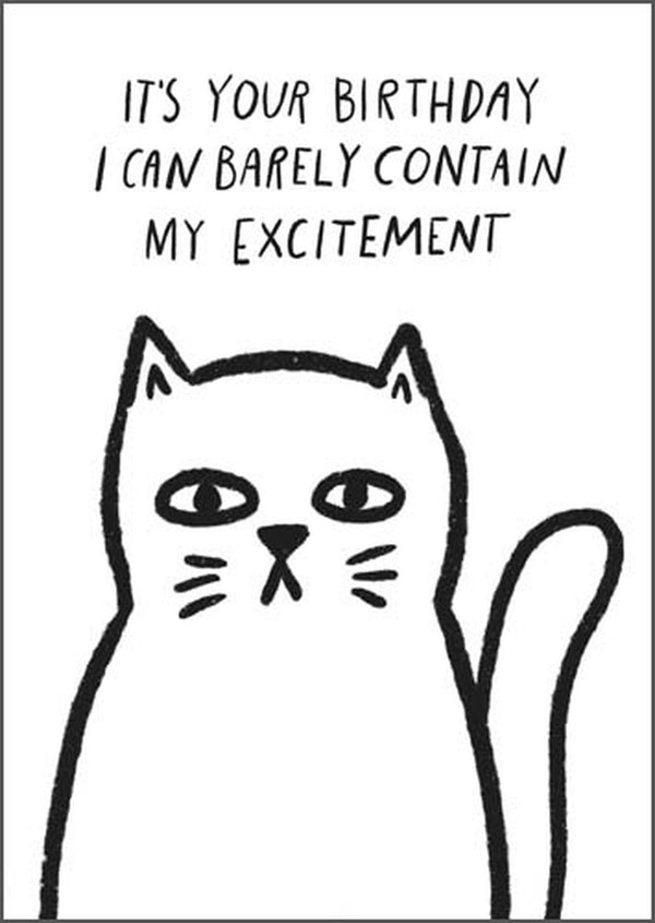Pigment - Excited Cat